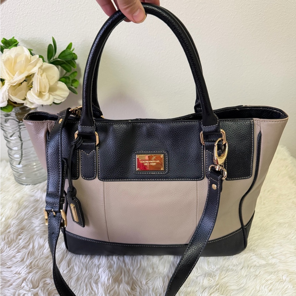 Tignanello Black and Tan Tote Bag - Picture 2 of 16
